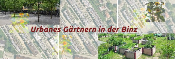 binz-urbangardening_fotomontage_v4